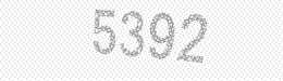 Visual security code — type the characters shown in the image